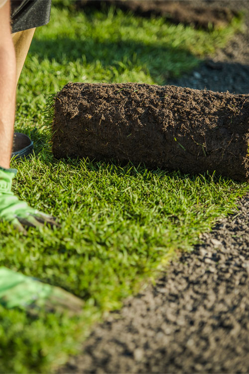 Melbourne Turf Store Laying grass
